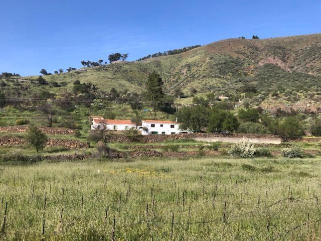 Вилла Casa-Finca El Maipez De Tejeda Лас-Пальмас-де-Гран-Канария Экстерьер фото