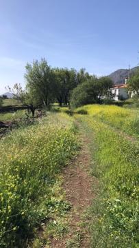 Вилла Casa-Finca El Maipez De Tejeda Лас-Пальмас-де-Гран-Канария Экстерьер фото